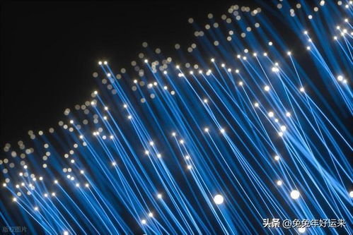 光电新风口 四强角逐，谁将引领光纤涨价下的投资热潮？